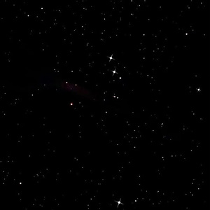 慢慢扎进丰满少妇的肉体
