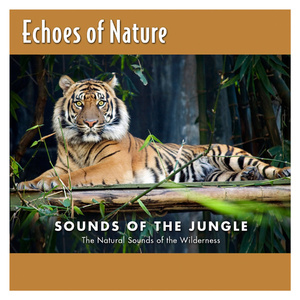 慢慢扎进丰满少妇的肉体
